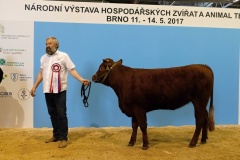 Kliknutm na fotku zobrazte plnou velikost