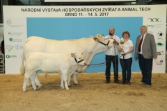 Kliknutm na fotku zobrazte plnou velikost