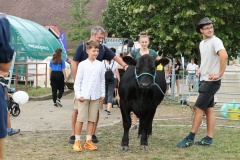 Kliknutm na fotku zobrazte plnou velikost